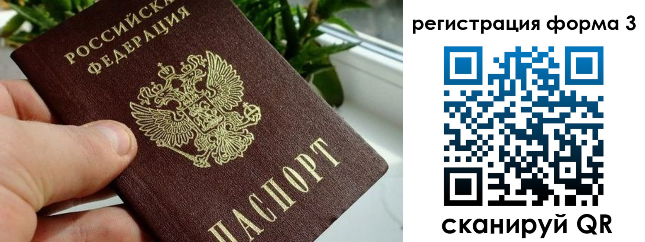 прописка штамп в Звенигово